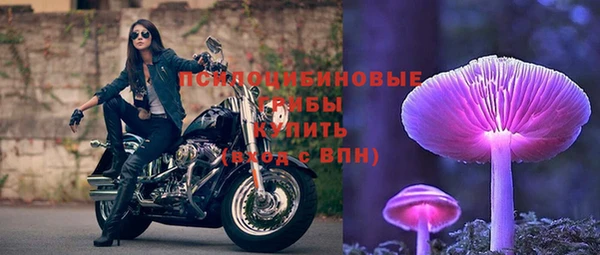 дмт Магас