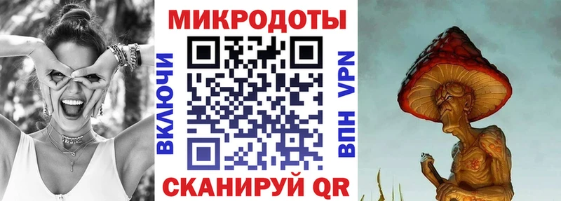 Купить  Малоархангельск  Галлюциногенные грибы Psilocybine cubensis 